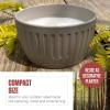 imageColeman Outdoor Citronella Candle for Patio Backyard Ideal for Camping and Relaxation Up to 25 Hours Burn Time Grey 11oz11oz