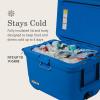 imageColeman Pro HeavyDuty 45qt UltraLight Premium Hard Cooler ExtraThick Insulation Keeps Ice up to 4 Days 74Can CapacityNeptune